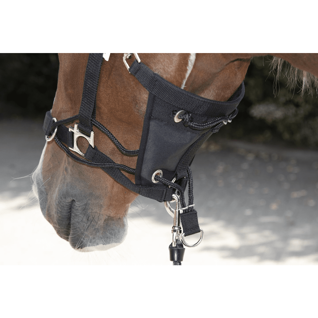 HKM Safe Control Style Head Collar #colour_black