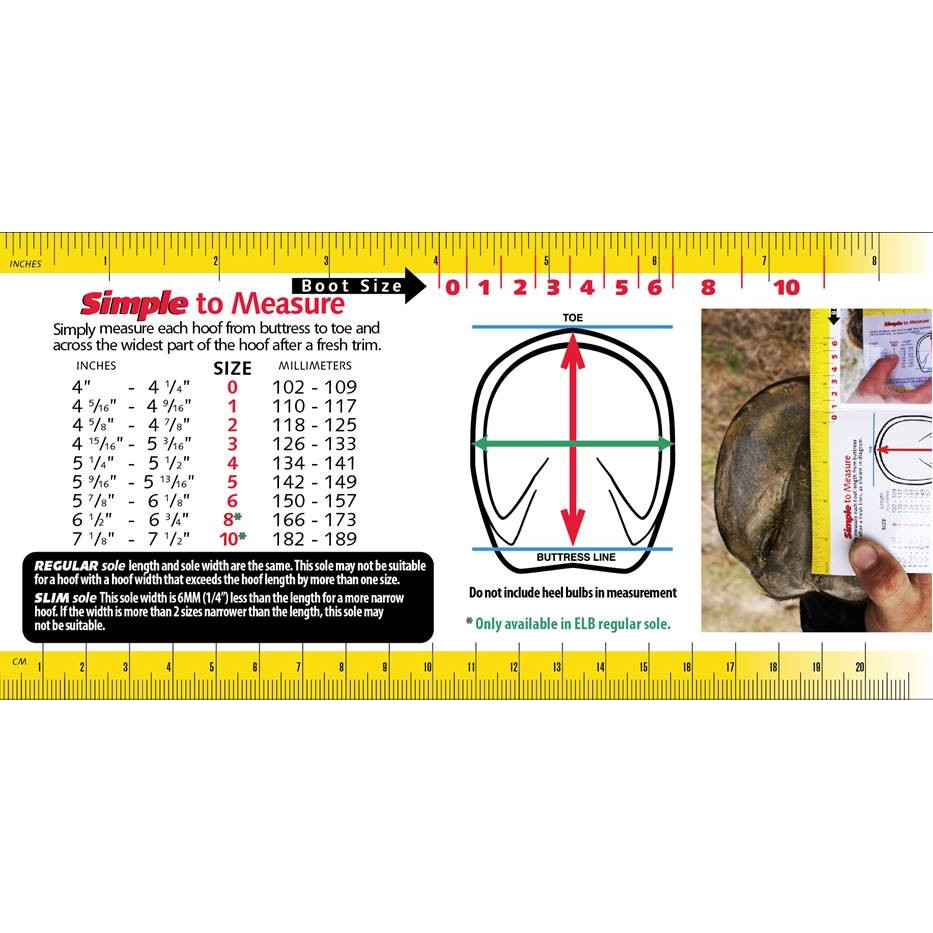 Cavallo Sport Boot with Fock Hoof Pick & Brush와 함께 일반