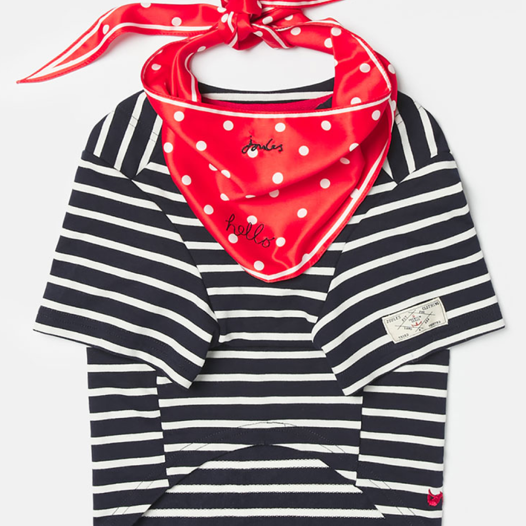 Joules Harbor Top & Neckerchief 세트