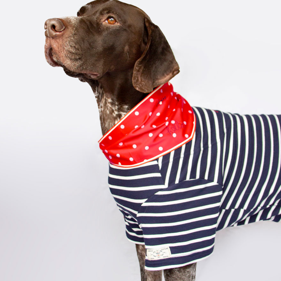 Joules Harbor Top & Neckerchief 세트