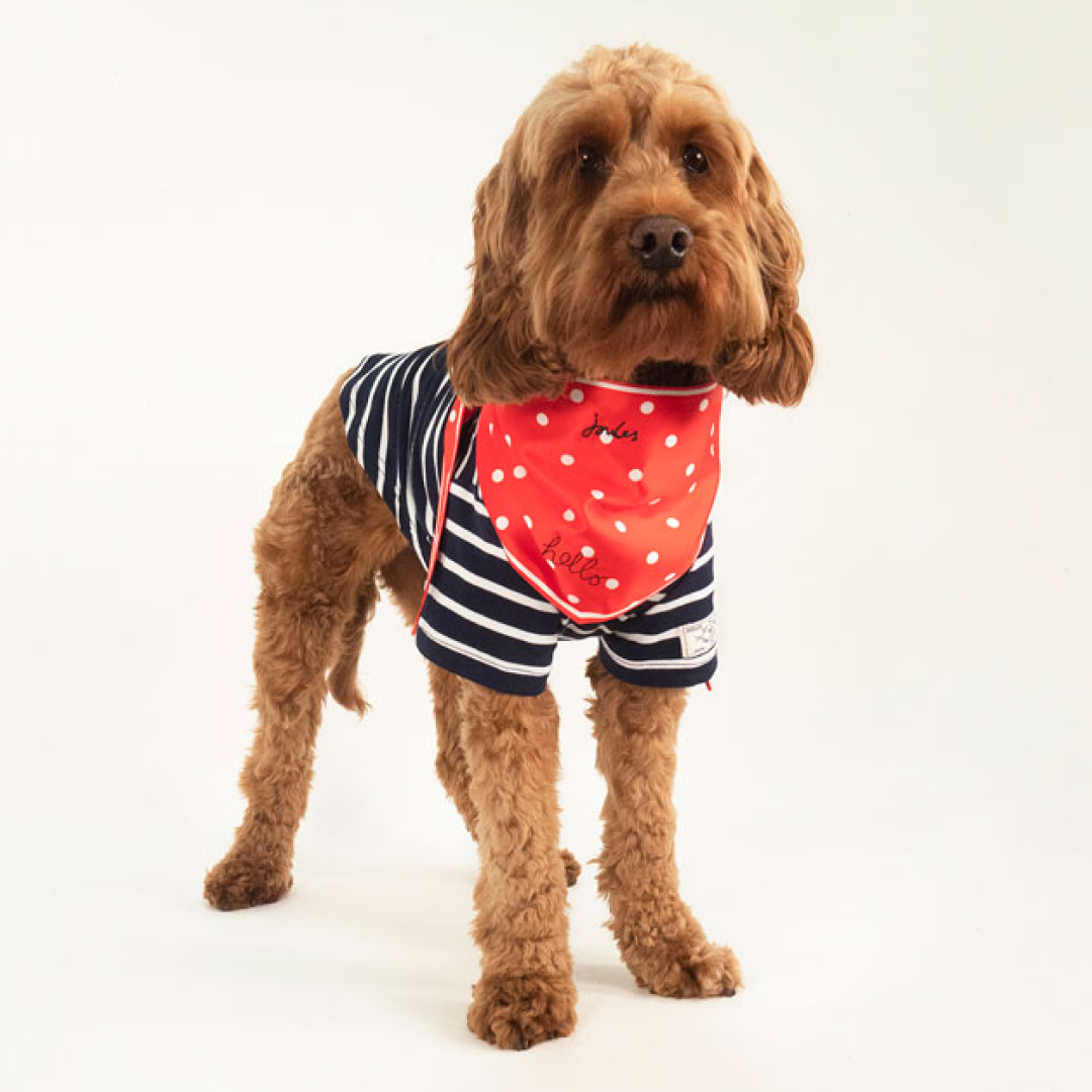 Joules Harbor Top & Neckerchief 세트