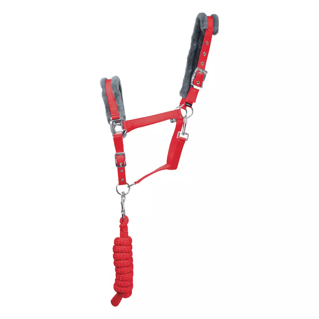 Hy Sport Active Head Collar & Lead Rope #colour_rosette-red