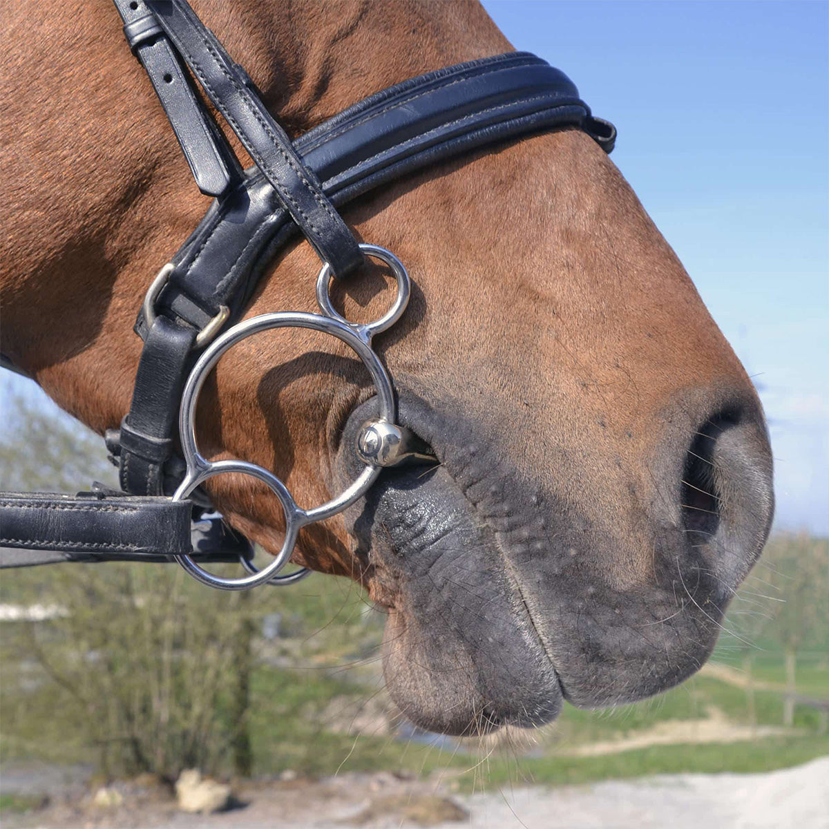 Sprenger KK Ultra Universel 16mm