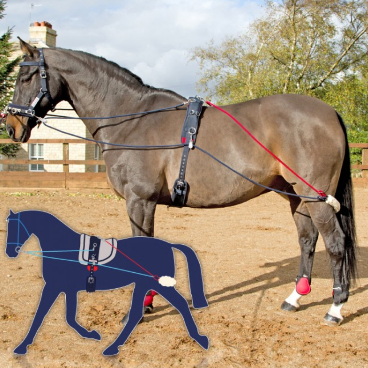 John Whitaker Training System