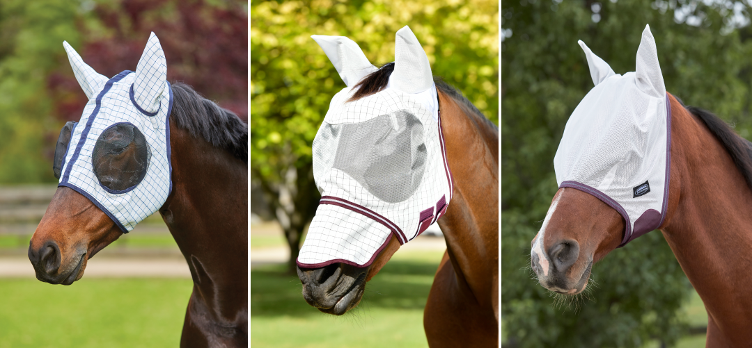 What's The Best Fly Mask For My Horse?