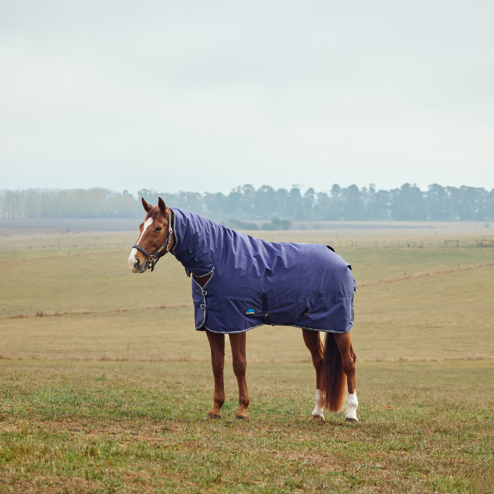 Fast Dispatch Weatherbeeta Turnout Rugs