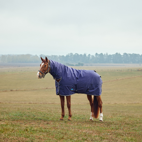 Fast Dispatch Weatherbeeta Turnout Rugs