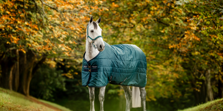 New In: AW25 Horse Range