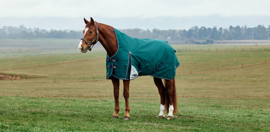 Turnout Rugs