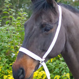 Equi-Sential Show Halter #colour_white