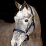 Mackey Safety Headcollar #colour_navy