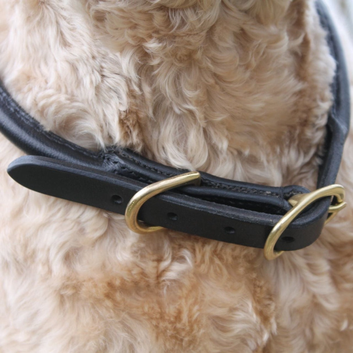 Mackey Rolled Leather Dog Collar #colour_brown