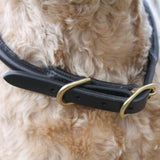 Mackey Rolled Leather Dog Collar #colour_brown