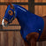 Weatherbeeta Stretch Hood With Zip #colour_navy