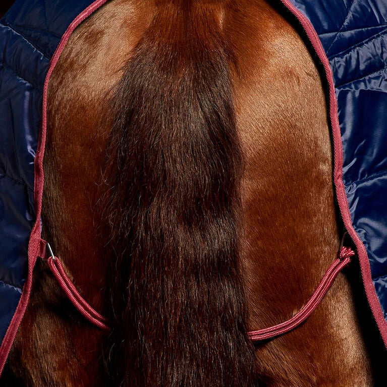 Weatherbeeta Comfitec 210D Channel Quilt 220G Standard Neck Stable #colour-navy-burgundy