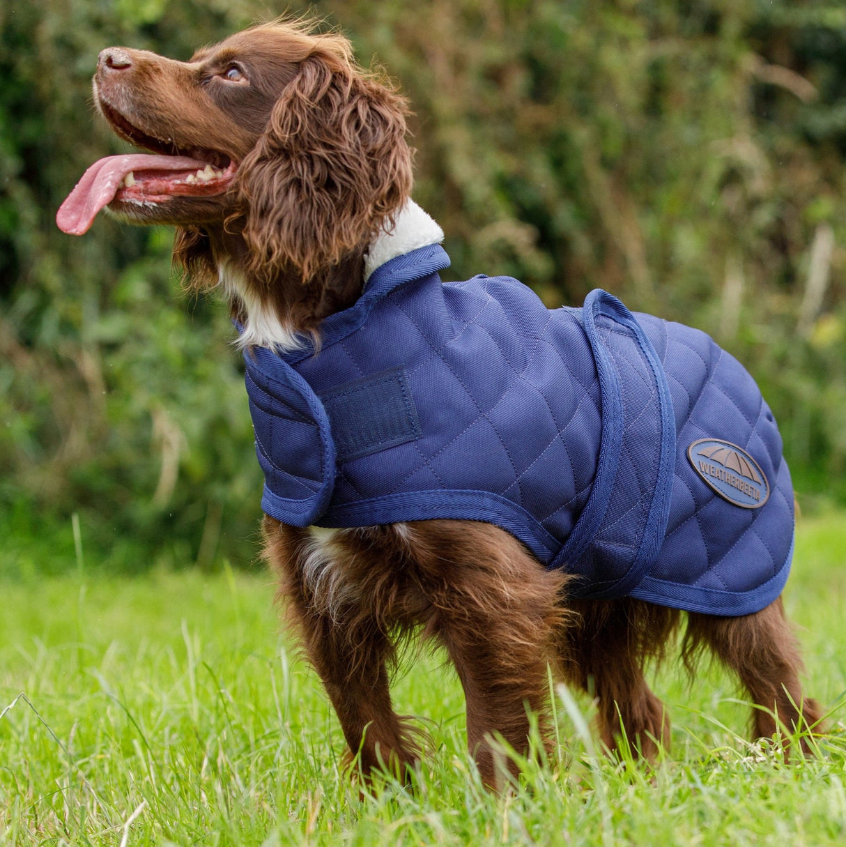 Weatherbeeta Comfitec Deluxe Diamond Quilt Dog Coat #colour_navy