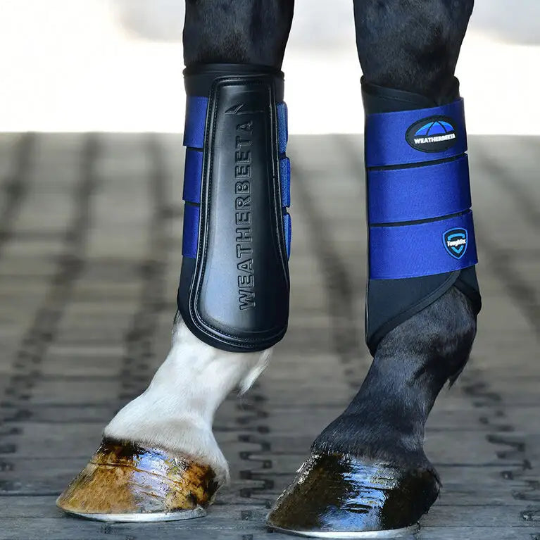 Weatherbeeta Tough-Tec Prime Brushing Boots #colour_black-royal-blue