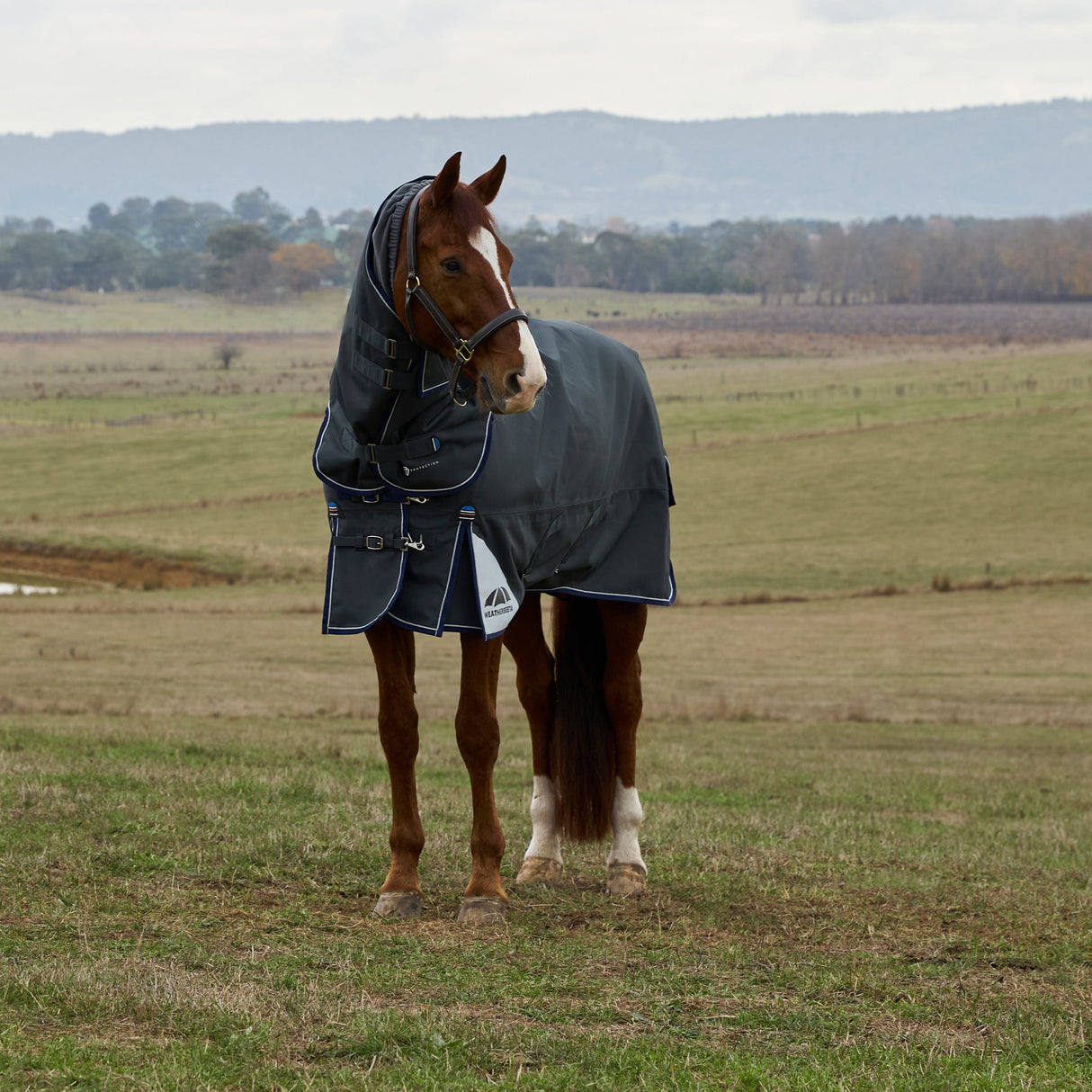 Weatherbeeta Comfitec Ultra 100G Detach-A-Neck Turnout #colour_charcoal