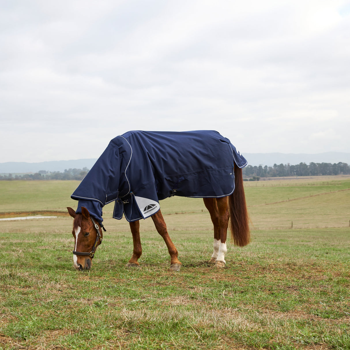 Weatherbeeta Comfitec Ultra 100G Detach-A-Neck Turnout #colour_navy