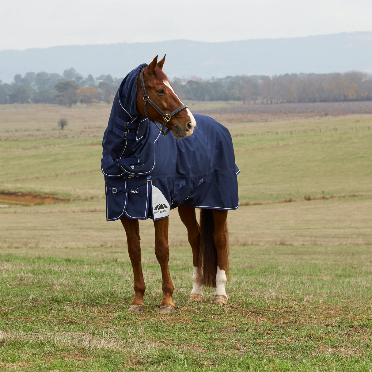 Weatherbeeta Comfitec Ultra 100G Detach-A-Neck Turnout #colour_navy