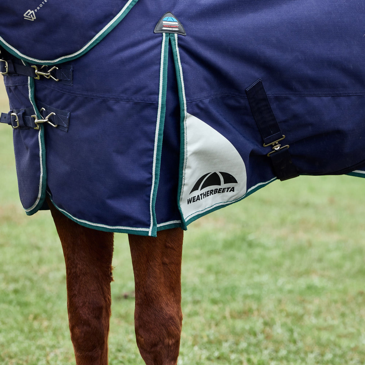 Weatherbeeta Comfitec Plus Dynamic 220G Detach-A-Neck Turnout #colour_navy-forest-green