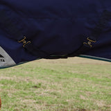 Weatherbeeta Comfitec Plus Dynamic 220G Detach-A-Neck Turnout #colour_navy-forest-green