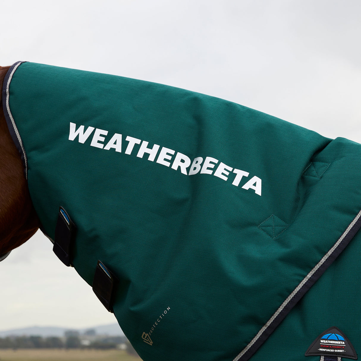 Weatherbeeta Comfitec Plus Dynamic 100G Detach-A-Neck Turnout #colour_forest-green-navy
