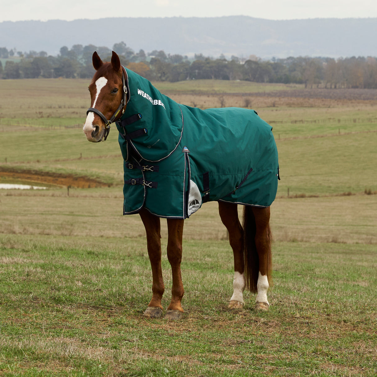 Weatherbeeta Comfitec Plus Dynamic 100G Detach-A-Neck Turnout #colour_forest-green-navy