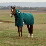 Weatherbeeta Comfitec Plus Dynamic 100G Detach-A-Neck Turnout #colour_forest-green-navy