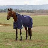 Weatherbeeta Comfitec Plus Dynamic 220G High Neck Turnout #colour_navy-forest-green