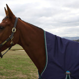 Weatherbeeta Comfitec Plus Dynamic 100G High Neck Turnout #colour_navy-forest-green