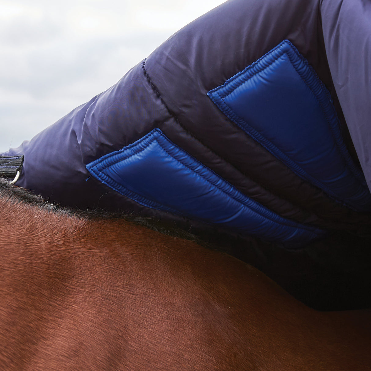 Weatherbeeta Comfitec Plus Dynamic 100G High Neck Turnout