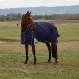 Weatherbeeta Comfitec Plus Dynamic 100G High Neck Turnout #colour_navy-forest-green
