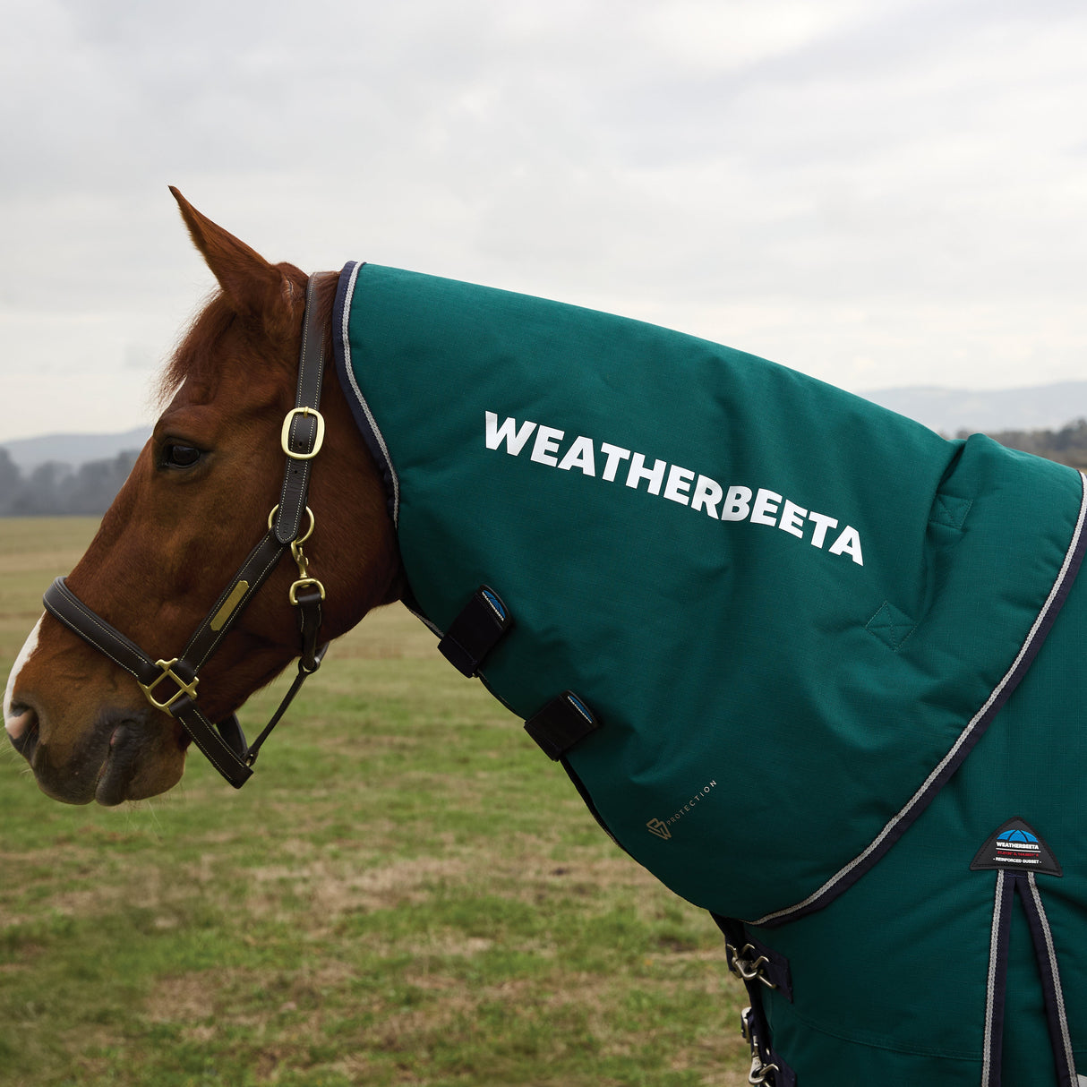 Weatherbeeta Comfitec Plus Dynamic 220G Turnout Neck Cover #colour_forest-green-navy