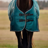 Weatherbeeta Comfitec Classic Combo Turnout #colour_forest-green-black