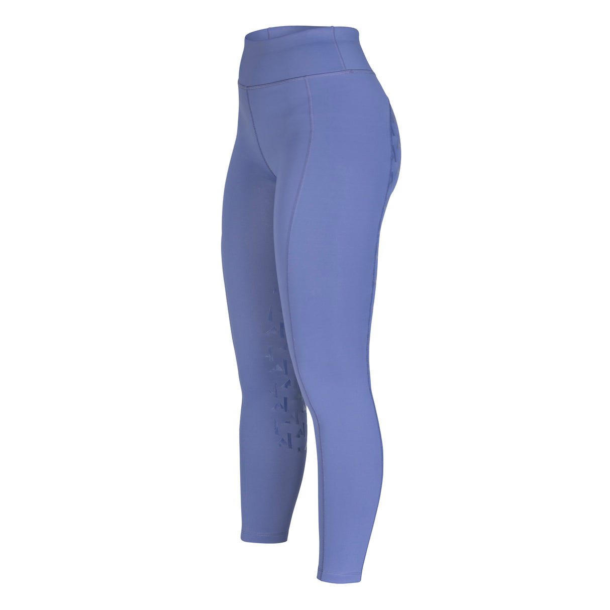 Shires Aubrion Ladies React Winter Riding Tights #colour_sky