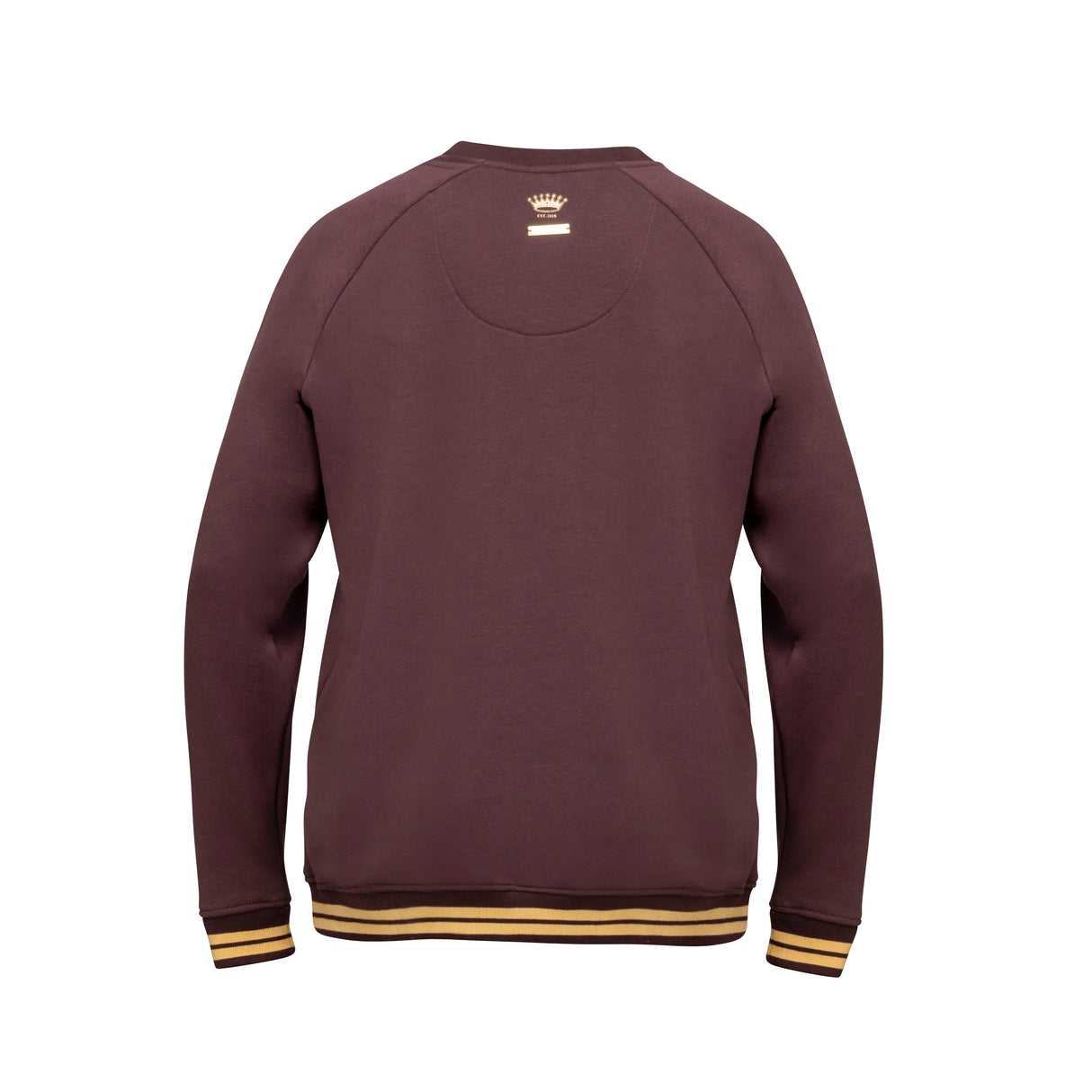 Shires Aubrion Young Rider Team Sweatshirt #colour_umber