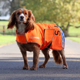 Shires EQUI-FLECTOR® Mesh Dog Coat #colour_orange