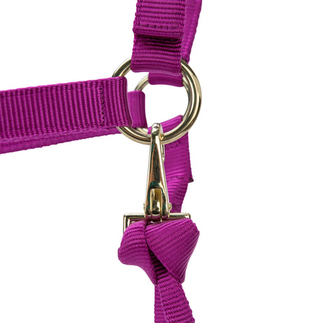 Shires ARMA Premium Adjustable Headcollar #colour_raspberry