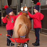 Shires Winnie & Me Hoodie #colour_red