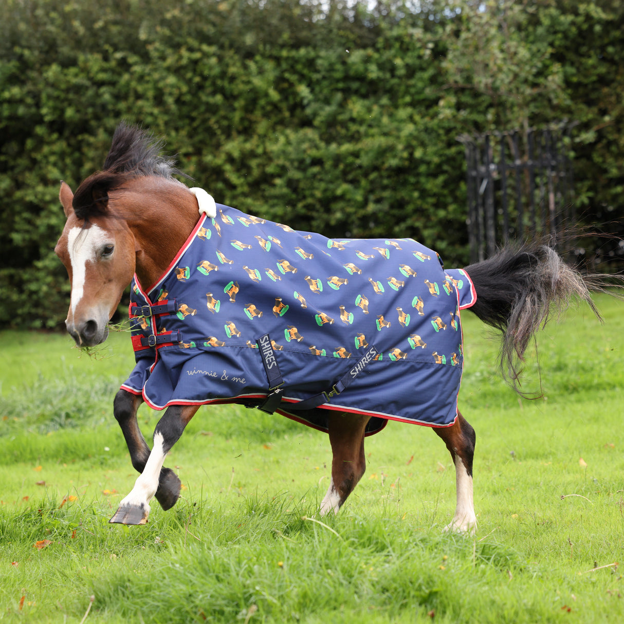 Shires Winnie & Me Lite Turnout Rug #colour_navy