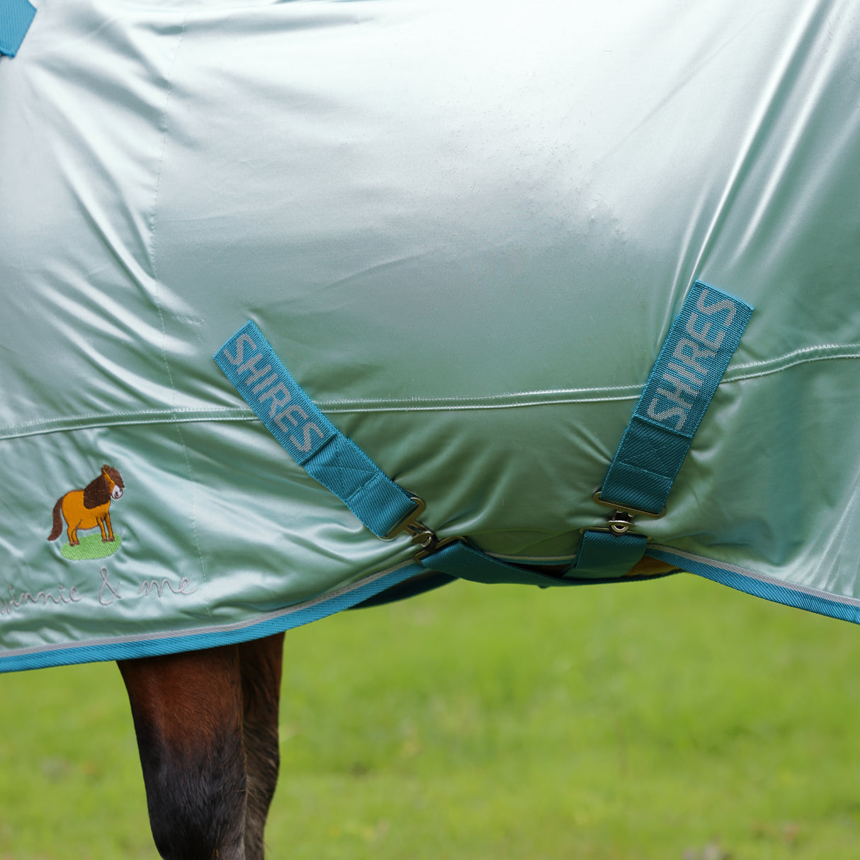 Shires Winnie & Me Fly Combo Rug #colour_blue