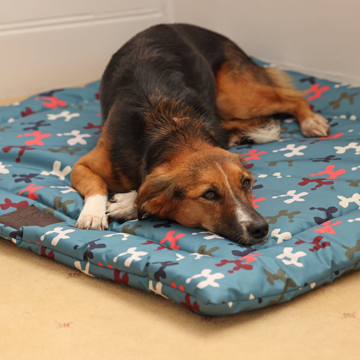 Shires Digby & Fox Waterproof Padded Dog Bed #colour_balloon-dog