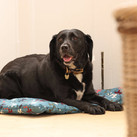 Shires Digby & Fox Waterproof Padded Dog Bed #colour_balloon-dog