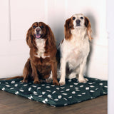 Shires Digby & Fox Waterproof Padded Dog Bed #colour_sheep