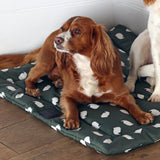 Shires Digby & Fox Waterproof Padded Dog Bed #colour_sheep