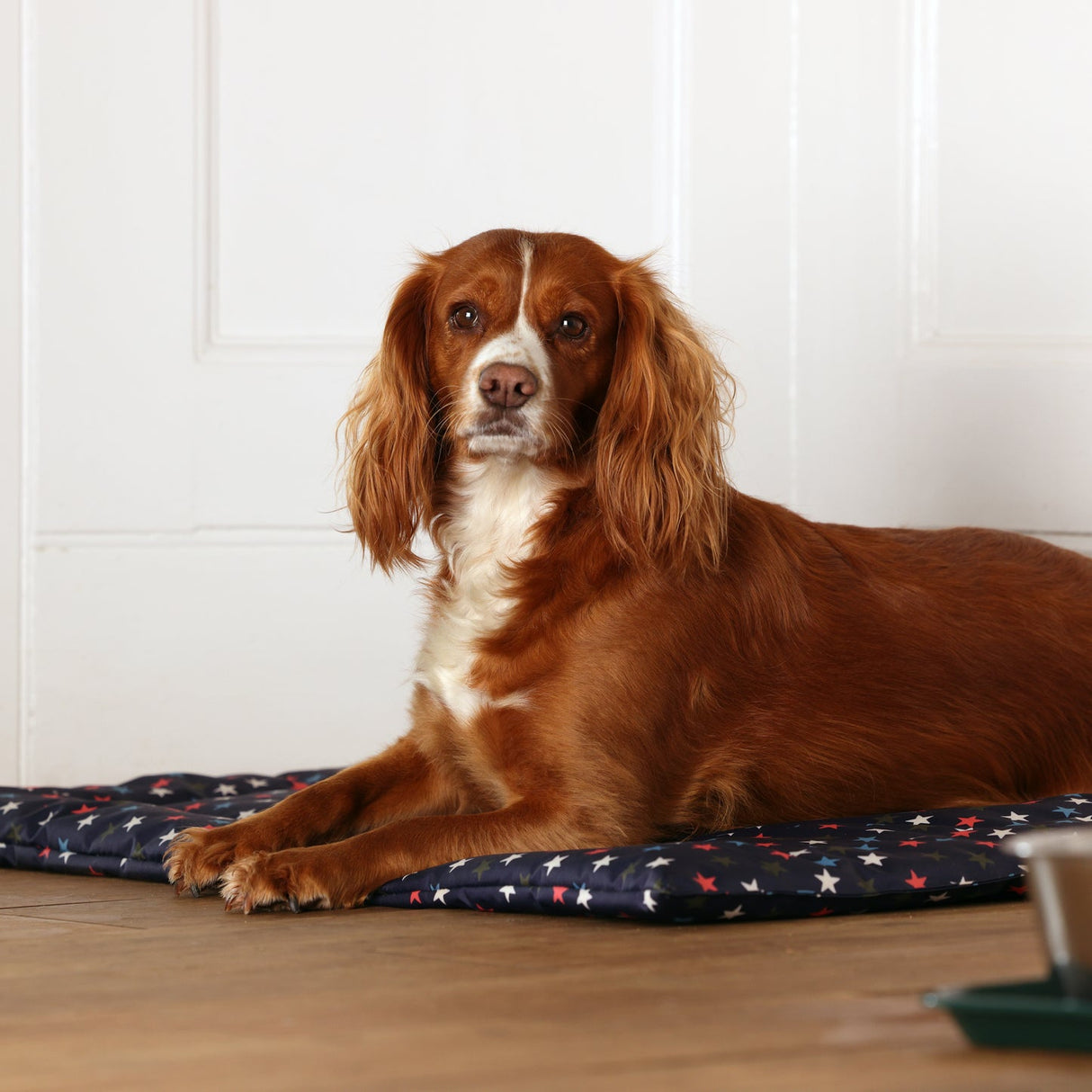 Shires Digby & Fox Waterproof Padded Dog Bed #colour_star
