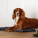 Shires Digby & Fox Waterproof Padded Dog Bed #colour_star