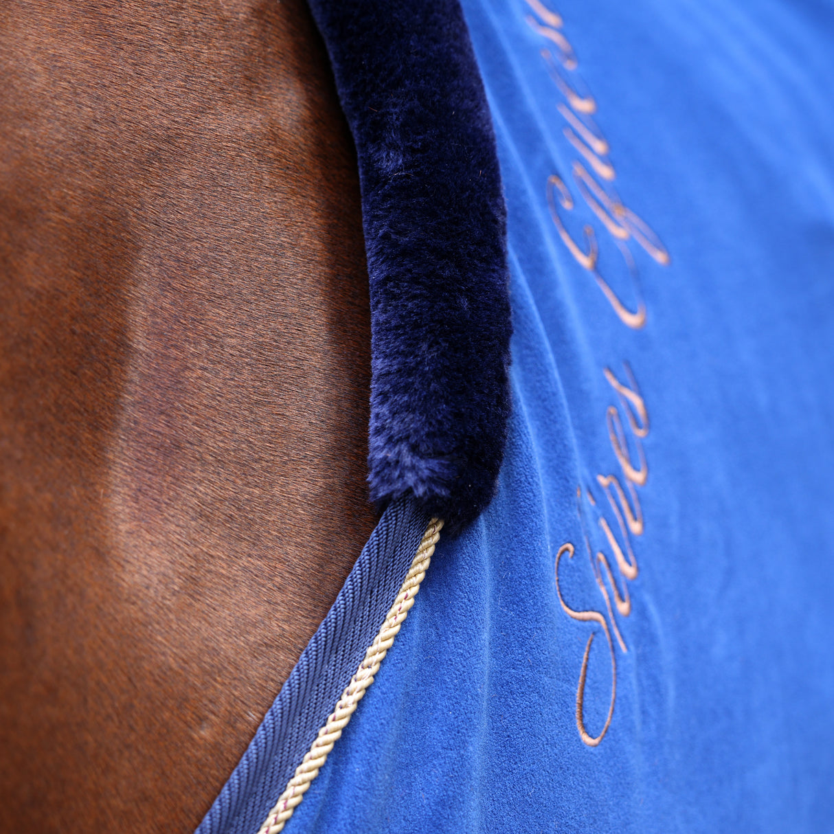 Shires Deluxe Fleece Show Rug #colour_navy