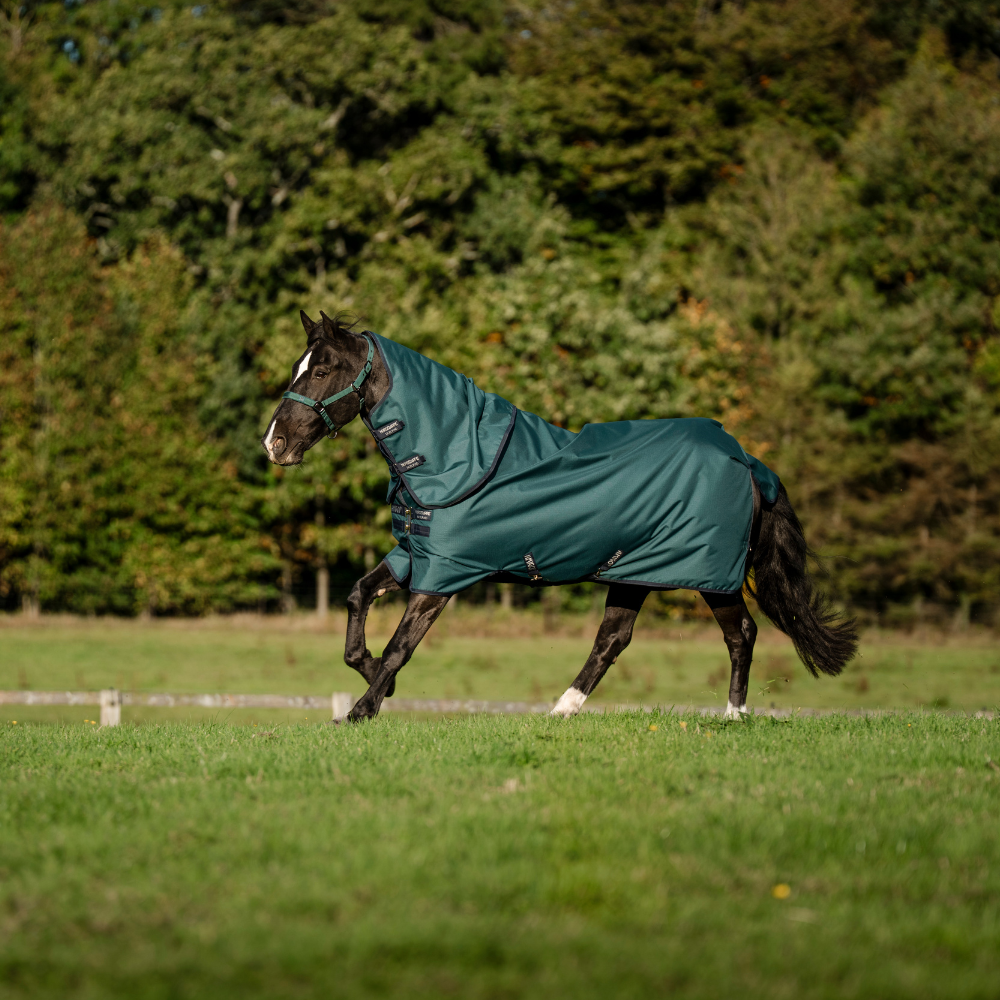 Horseware Ireland Amigo Ripstop 900D Plus 200g Pony Turnout Rug #colour_dynasty-green-navy-silver